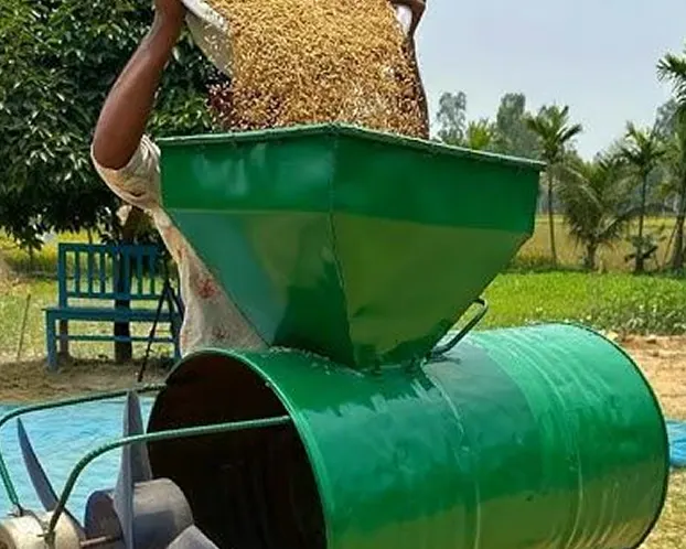 Paddy rice being poured into a green milling machine